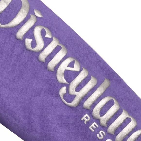 Mickey Mouse & Friends Disney100 Pullover Hoodie XXL Adults Disneyland NWT - Picture 5 of 5